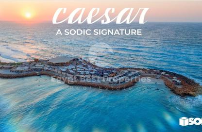 Chalet - 3 Bedrooms - 3 Bathrooms for sale in Caesar - Qesm Marsa Matrouh - North Coast
