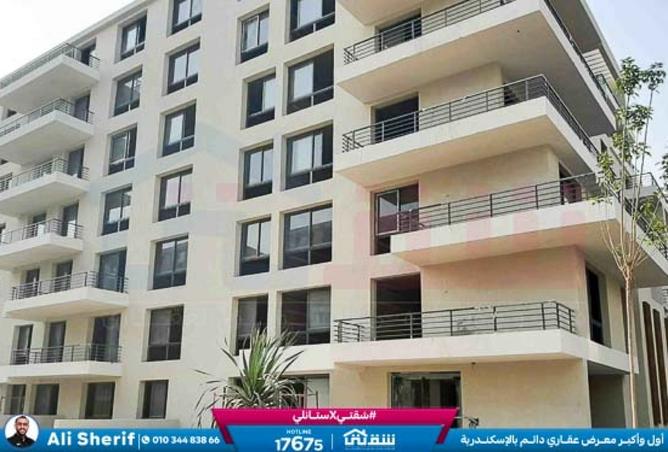 8490857 - Property Image 3