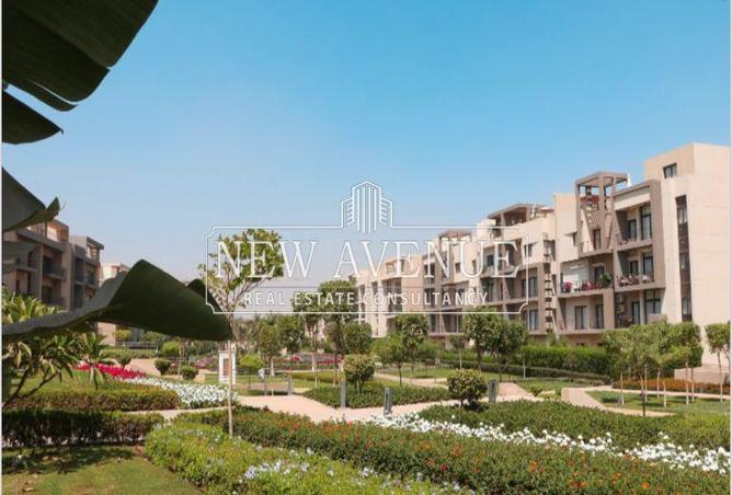 8186353 - صورة العقار 2