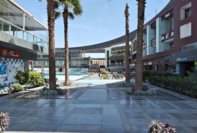 8328374 - Property Image 3