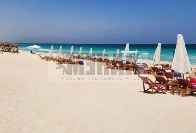 8094392 - Property Image 3
