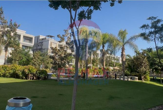 7950992 - صورة العقار 3