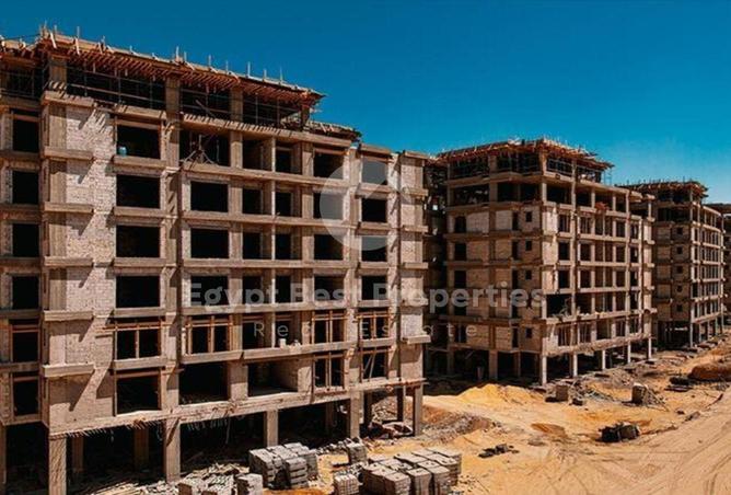 8419608 - Property Image 3