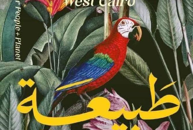 8378996 - صورة العقار 2