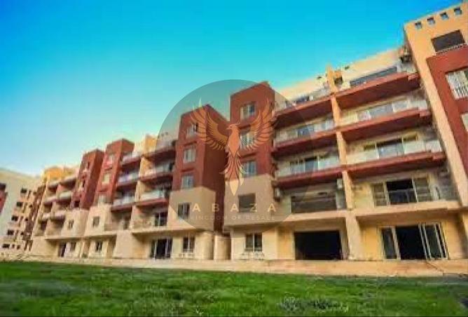 8375447 - Property Image 3