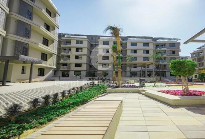 7992274 - Property Image 2