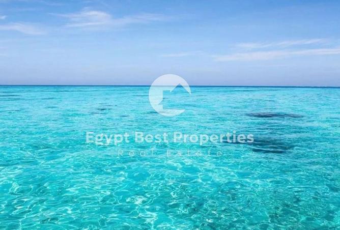 7889992 - Property Image 3