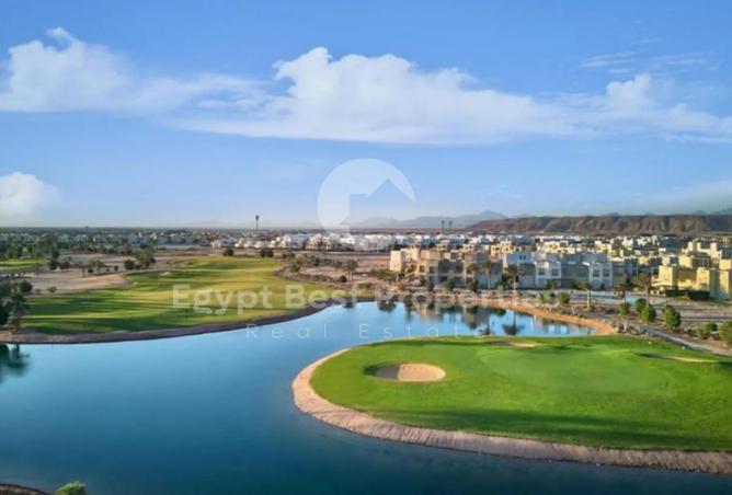 8004398 - Property Image 3