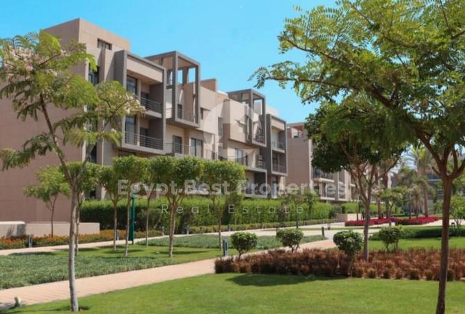 8428951 - Property Image 3