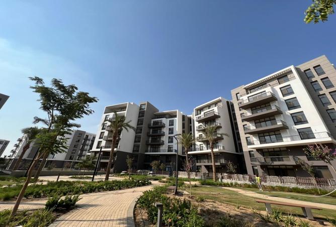 8191515 - Property Image 3