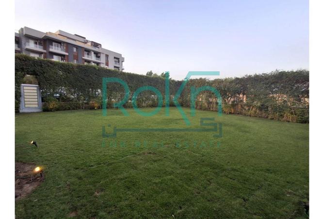 8050734 - Property Image 3