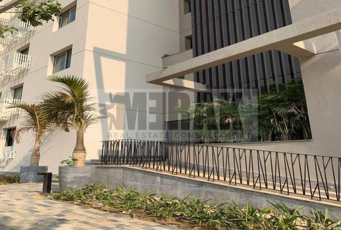 7874864 - Property Image 3