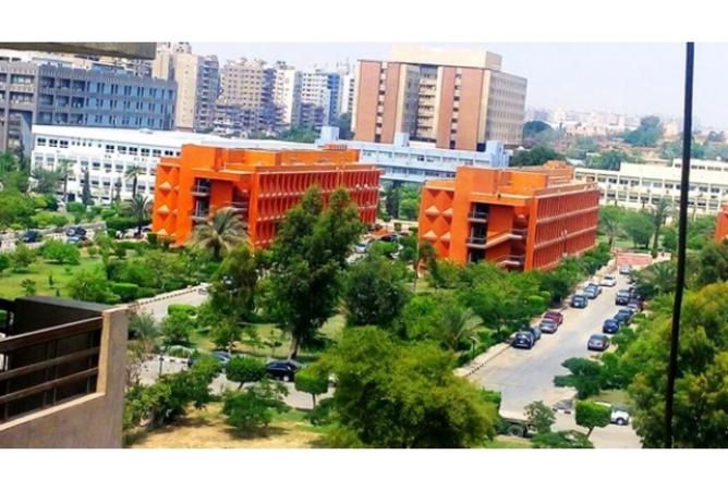 8039364 - صورة العقار 3