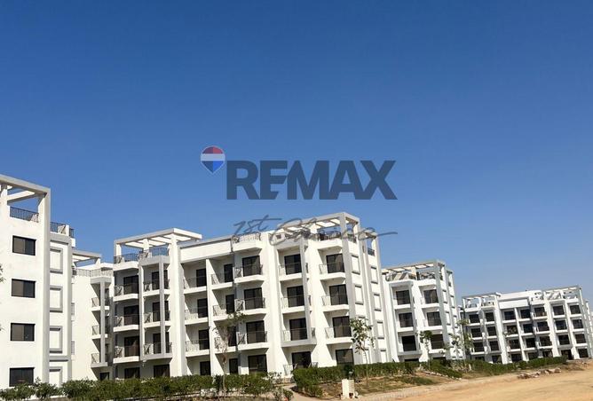 6976087 - صورة العقار 2