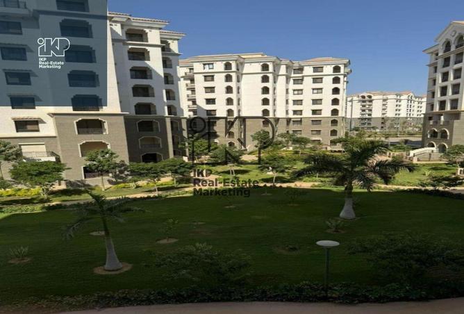 7185779 - Property Image 3