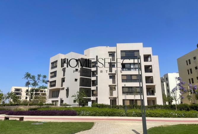 8331900 - صورة العقار 3