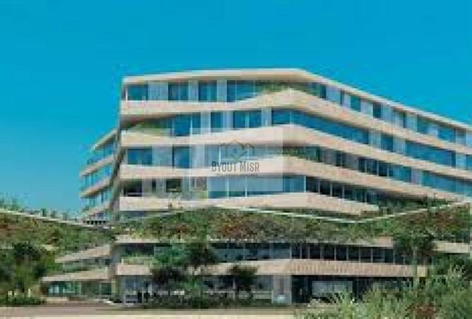 8396619 - Property Image 3