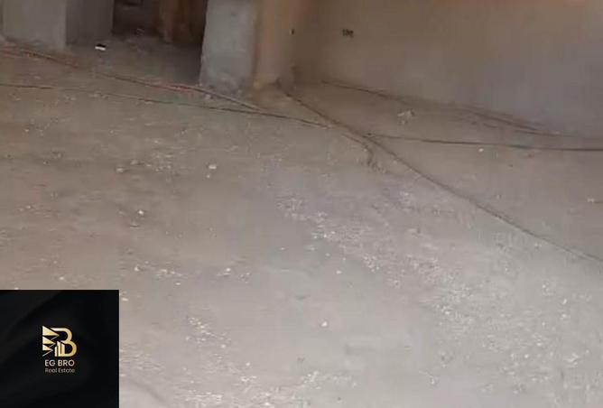 8338398 - Property Image 3