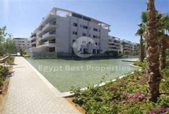 7971575 - الصورة الرئيسية للعقار