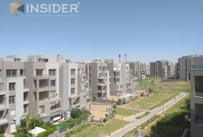 8043352 - Property Image 3