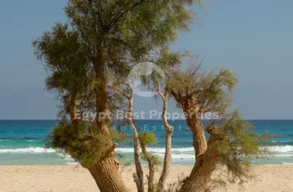 فيلا - 5 غرف نوم - 5 حمامات للبيع في مرسي باجوش - قسم مرسي مطروح - الساحل الشمالي