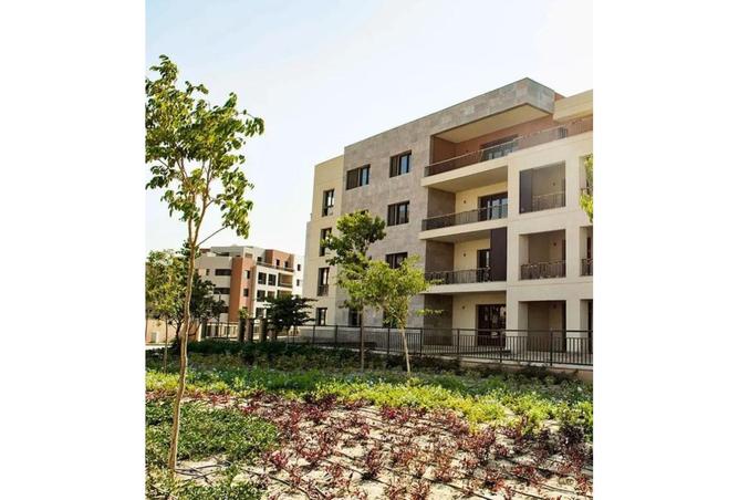 8124055 - Property Image 2