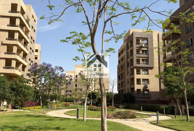 8154369 - الصورة الرئيسية للعقار