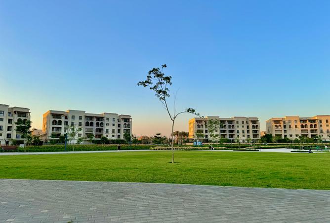 7908975 - صورة العقار 2
