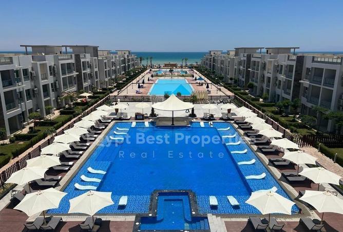 8421740 - Property Image 2