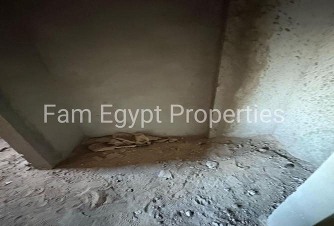 8113346 - Property Image 3