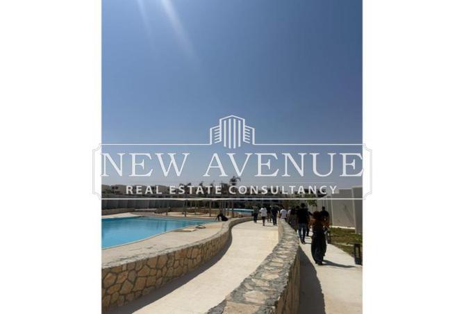 8162505 - Property Image 3