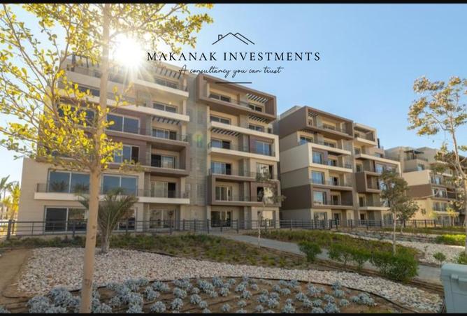 8442484 - Property Image 3