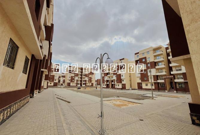 7893725 - صورة العقار 2