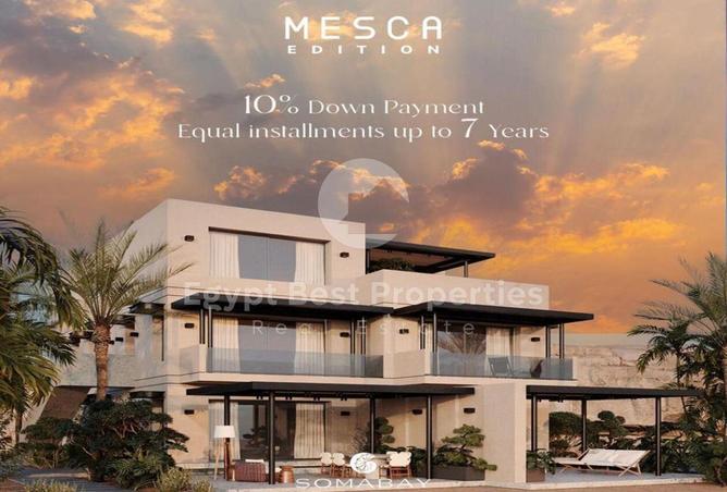 8427965 - Property Image 3