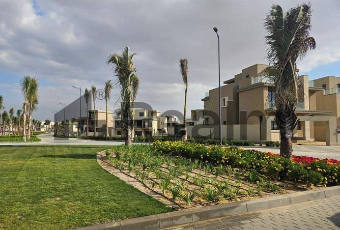 8243604 - صورة العقار 3