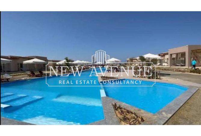 8389231 - Property Image 3