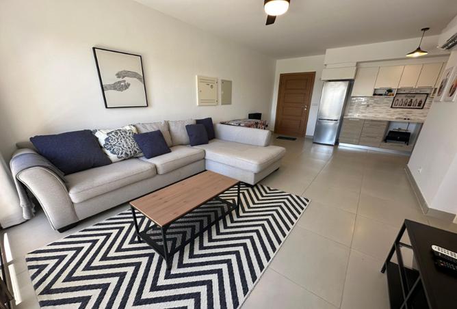 7983484 - Property Image 3