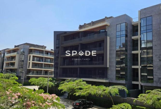 8394386 - Property Image 2