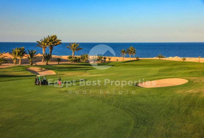 7975641 - Property Image 3