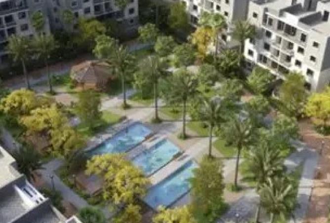 8234807 - Property Image 3