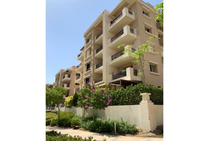 8166178 - الصورة الرئيسية للعقار