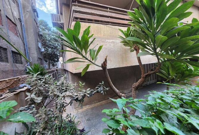 8416927 - Property Image 3