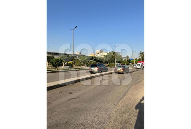 8175261 - Property Image 3