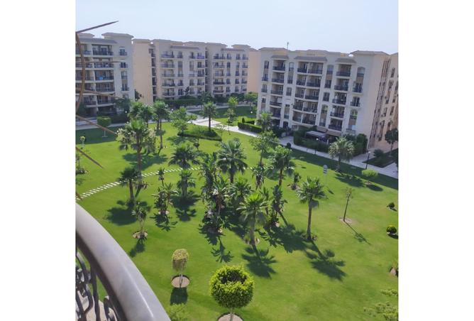 7963650 - صورة العقار 3