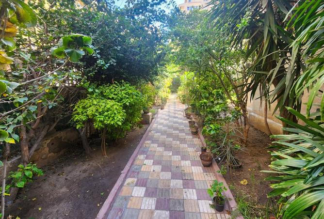 8541149 - صورة العقار 2