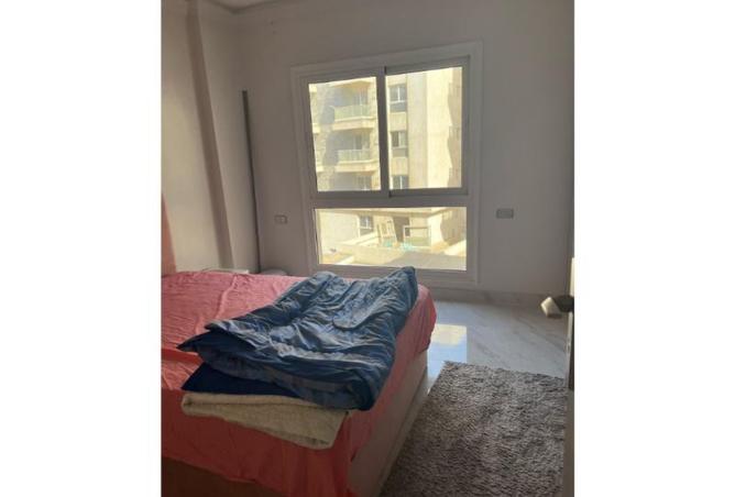 8331958 - Property Image 2