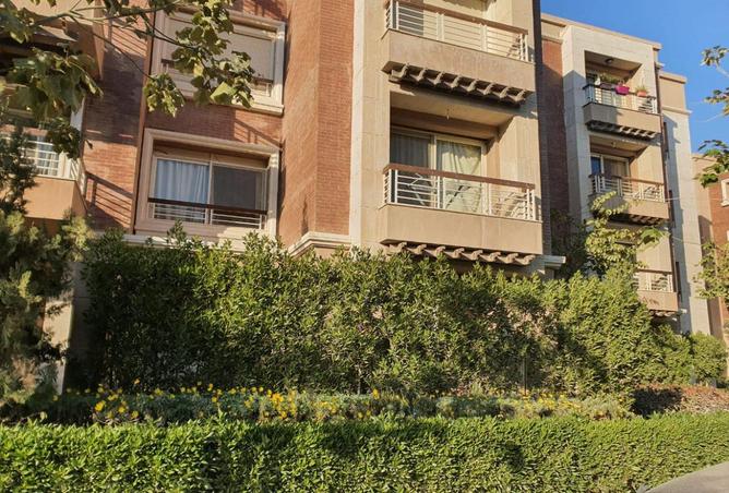8035180 - Property Image 3
