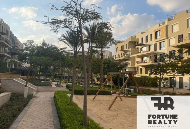 8355913 - Property Image 3