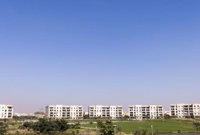 8184586 - Property Image 3