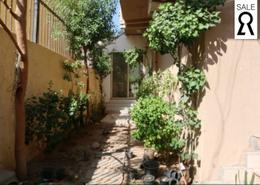 Apartment - 3 bedrooms - 1 bathroom for للبيع in El Kawther District - Hurghada - Red Sea